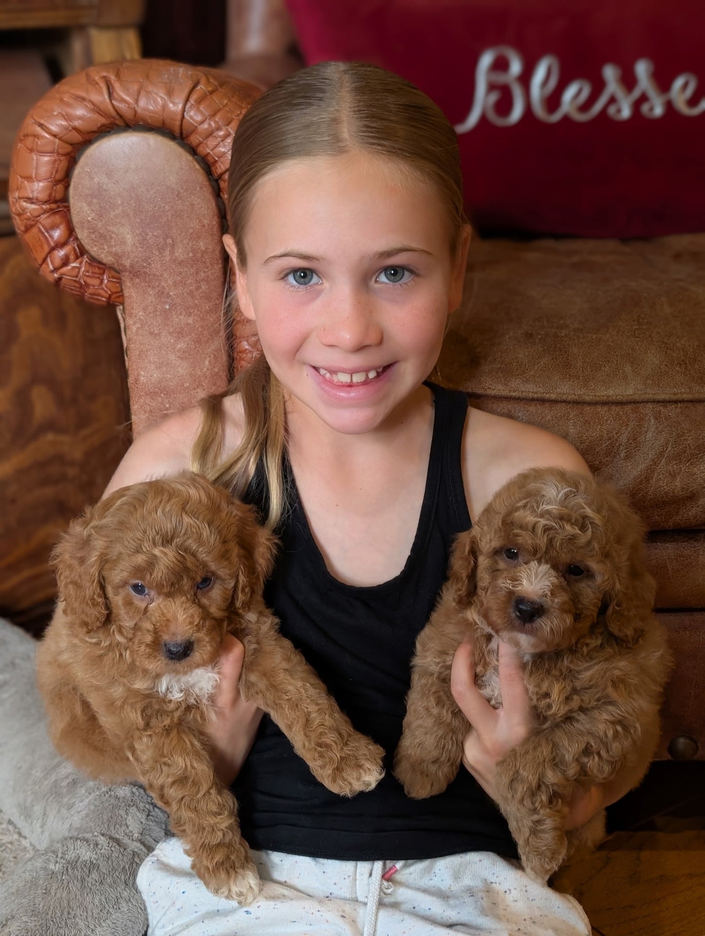 A smiling young girl with blonde hair sits on a brown leather armchair, holding two curly-haired brown puppy dogs. She is wearing a black tank top and white pants, with a red cushion in the background featuring the partial text 'Blesse'.