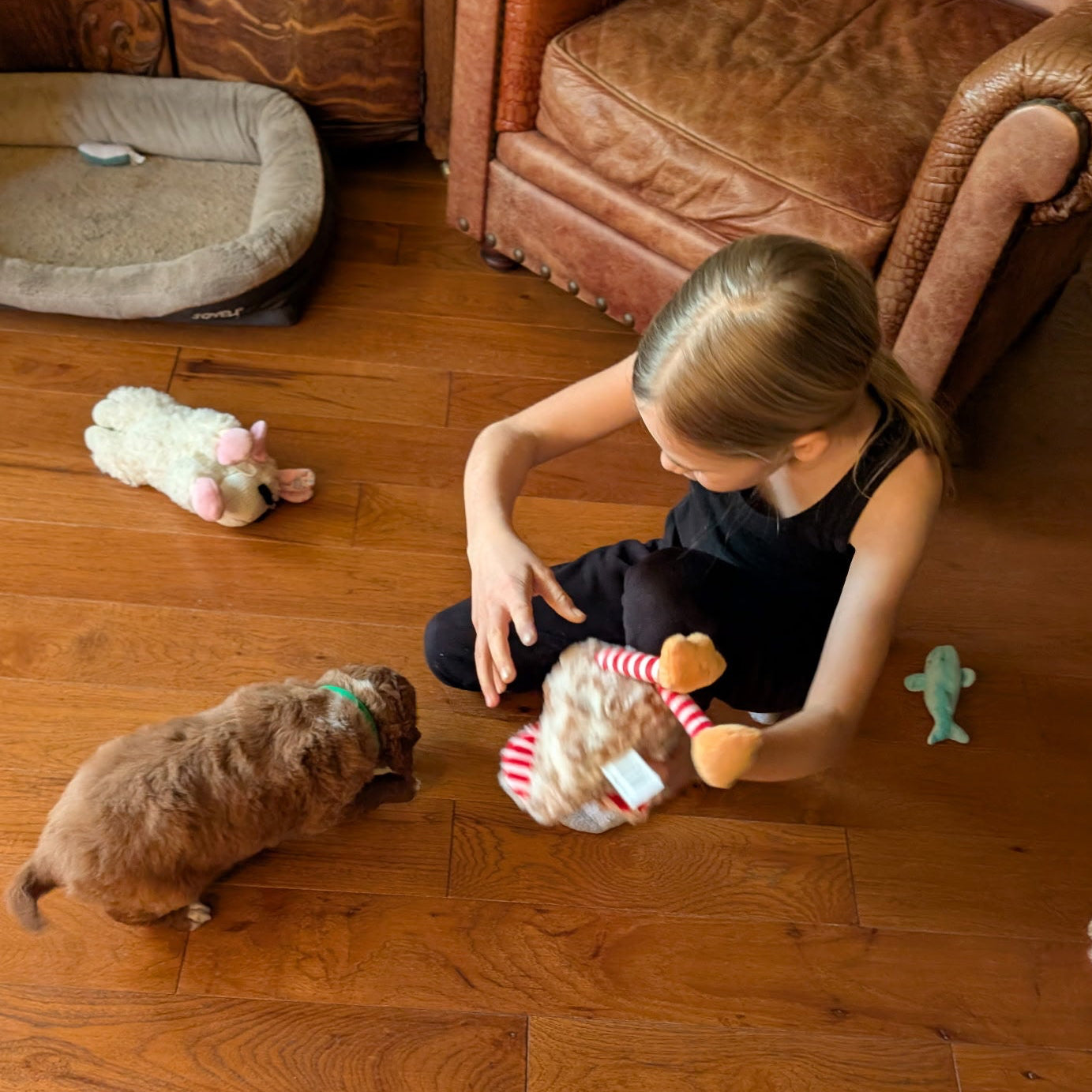 Child playing with a puppy and toys on a wooden floor