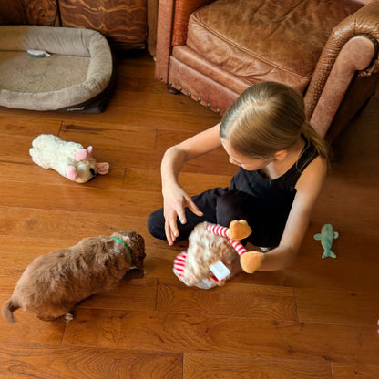 Child playing with a puppy and toys on a wooden floor