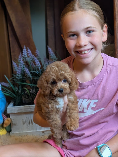 A smiling young girl with blonde hair tied back, wearing a pink Nike t-shirt and pink shorts, holding a small fluffy light brown puppy in her lap.