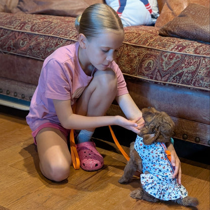 A young girl in a pink shirt kneels on a wooden floor, petting a small brown dog wearing a blue floral dress. A patterned brown sofa is in the background.