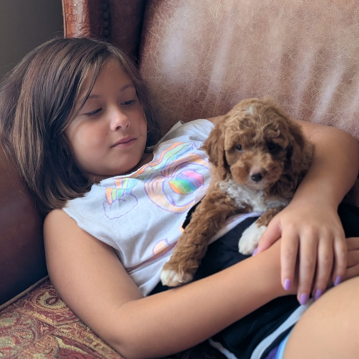 A young girl with brown hair rests her head on her lap while holding a small curly-haired brown puppy. She is wearing a white graphic t-shirt and black shorts, sitting on a brown leather armchair.
