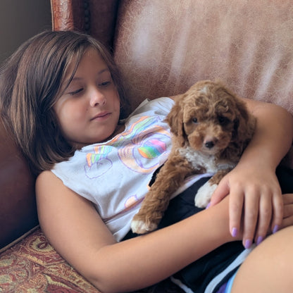 A young girl with brown hair rests her head on her lap while holding a small curly-haired brown puppy. She is wearing a white graphic t-shirt and black shorts, sitting on a brown leather armchair.