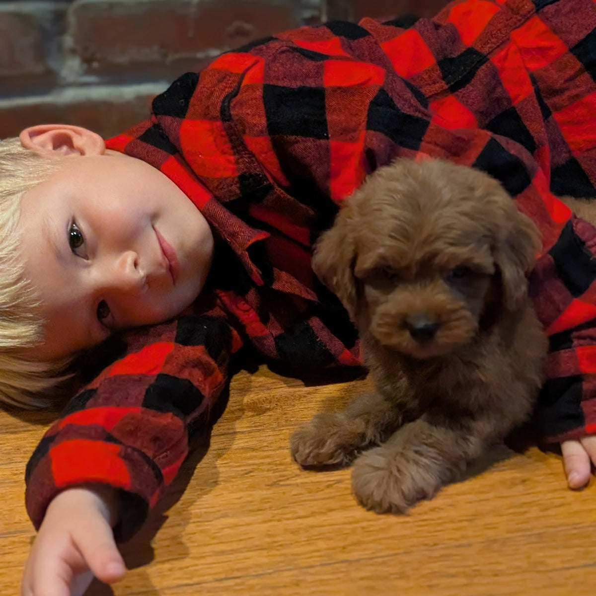 A young child wearing a red and black buffalo plaid flannel shirt lies on a wooden floor next to a small brown puppy.