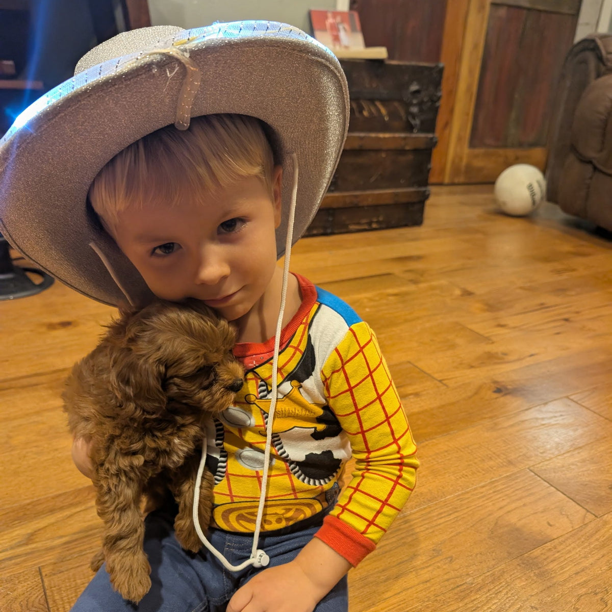 A young child wearing a cowboy hat and a Woody-inspired long-sleeve shirt sits on a wooden floor, holding a small brown dog. The background shows a home interior with wood flooring and furniture.