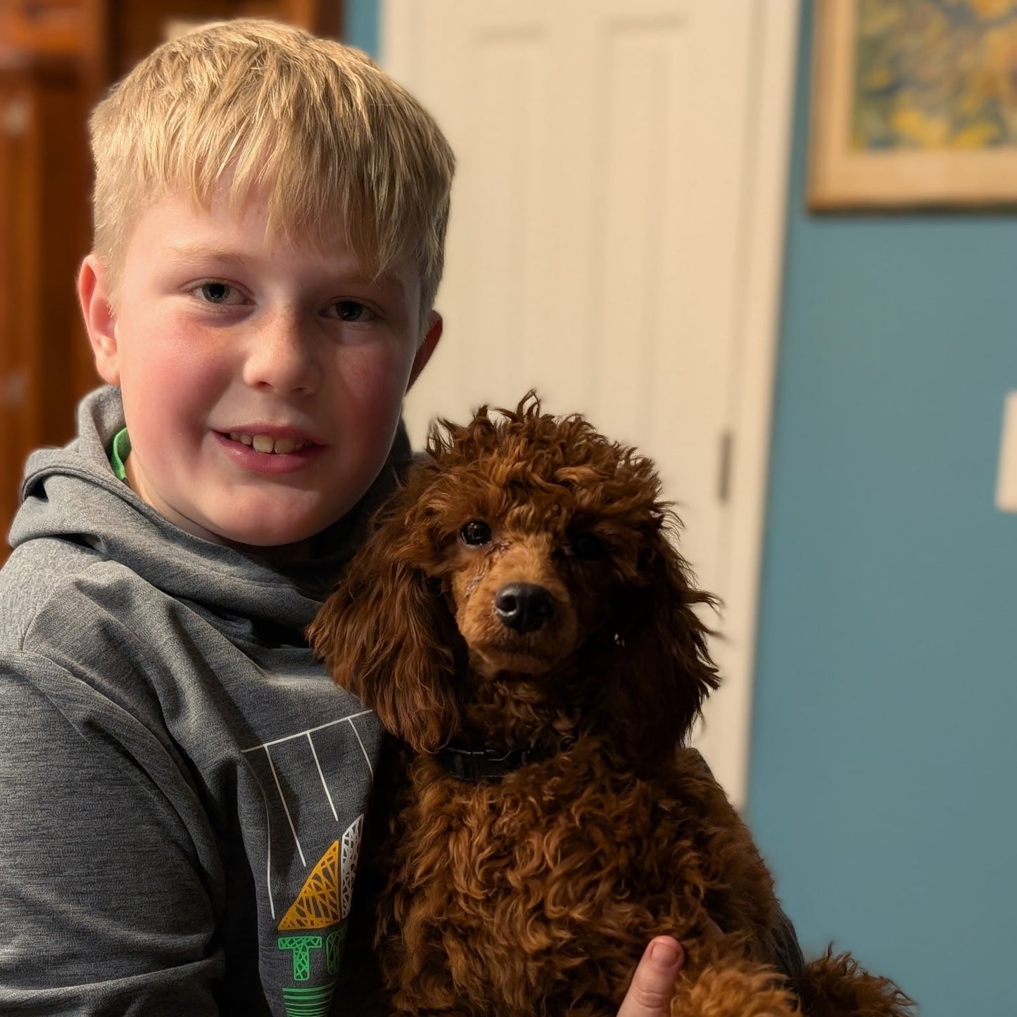 Young boy holding a brown dog in a room with a blue wall and a painting.