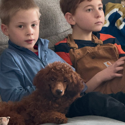 Two children sitting on a couch with a brown dog