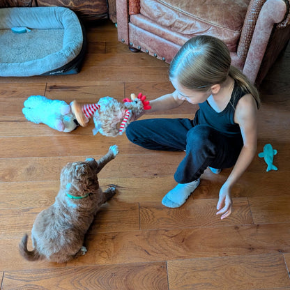 Child playing with a dog on a wooden floor in a living room.
